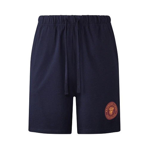 Brisbane Lions Mens Logo Shorts