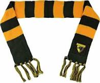 Hawthorn Hawks Infant Scarf