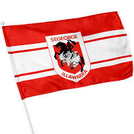 St George Dragons Kids Flag