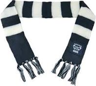 Geelong Cats Infant Scarf