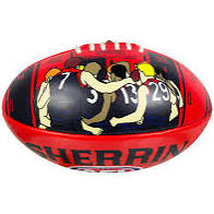 Melbourne Demons Ball Song Sherrin Size 2