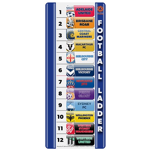 A-League Mini Magnetic Ladder