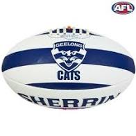 Geelong Cats Ball Syn Sherrin Size 5