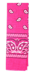 Bandana Paisley - Hot Pink