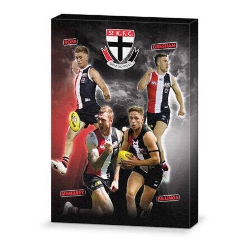 St Kilda Saints Canvas Print - 4 Player Design