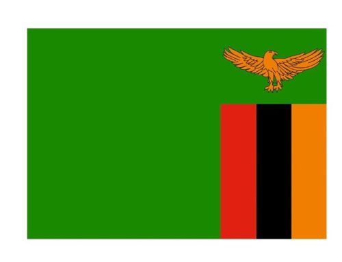 Zambia Flag