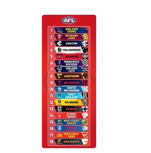 AFL Mini Magnetic Ladder
