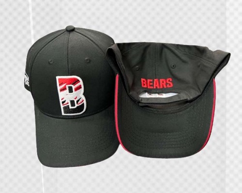 North Sydney Bears Players Cap