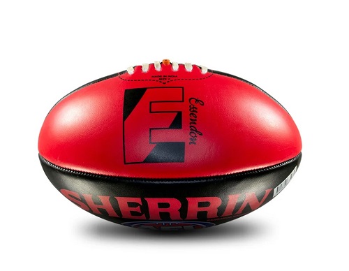 Essendon Bombers Ball - Team Logo