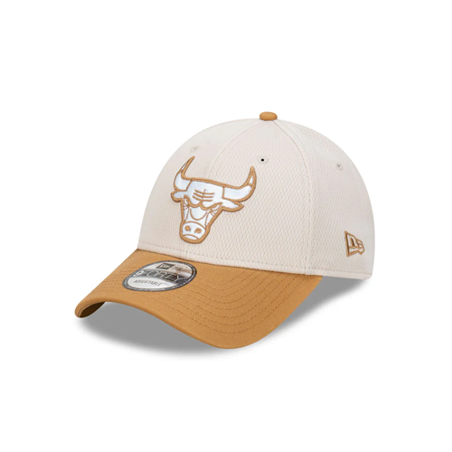 Chicago Bulls 9FortyCS Dashmark Wheat Two Tone Cap